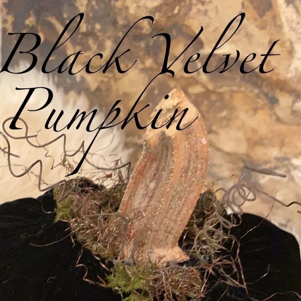 Handmade Fall Holiday Black genuine VELVET Pumpkin Decor